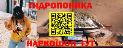 не бодяженный Сланцы