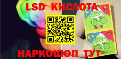 не бодяженный Сланцы